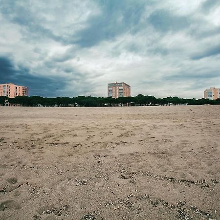 Studio Les Pieds Dans L'Eau Argeles Sur Mer Exterior photo