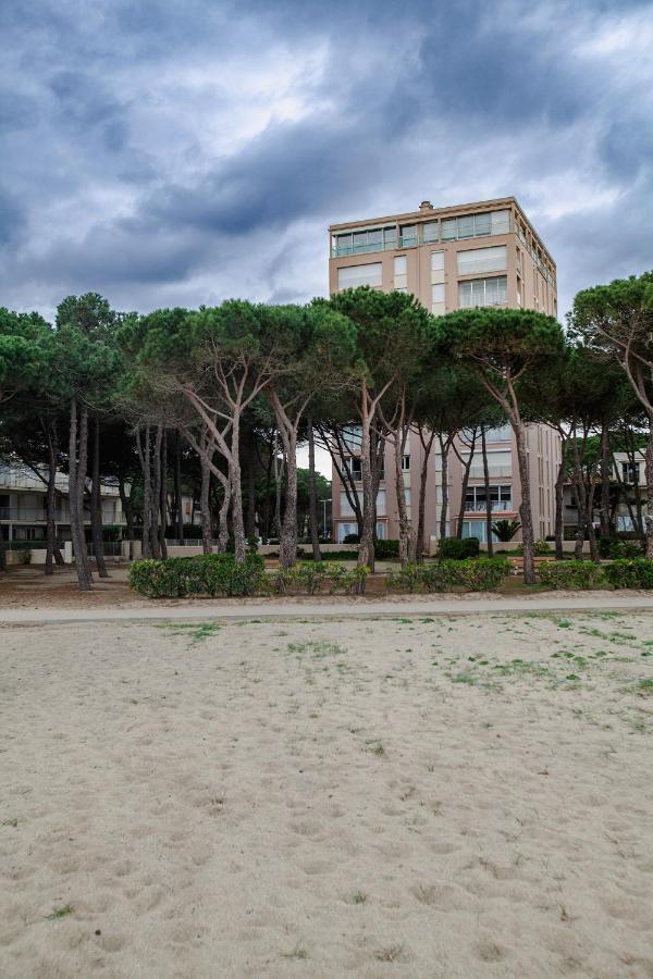 Studio Les Pieds Dans L'Eau Argeles Sur Mer Exterior photo