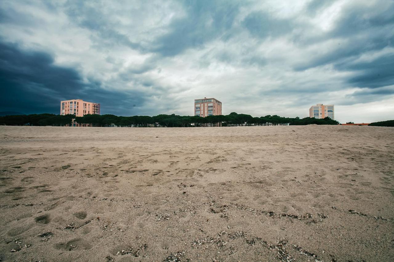 Studio Les Pieds Dans L'Eau Argeles Sur Mer Exterior photo
