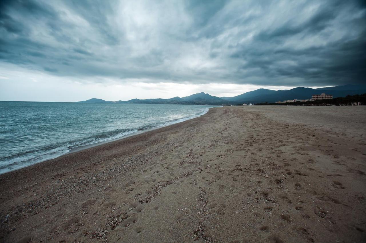 Studio Les Pieds Dans L'Eau Argeles Sur Mer Exterior photo