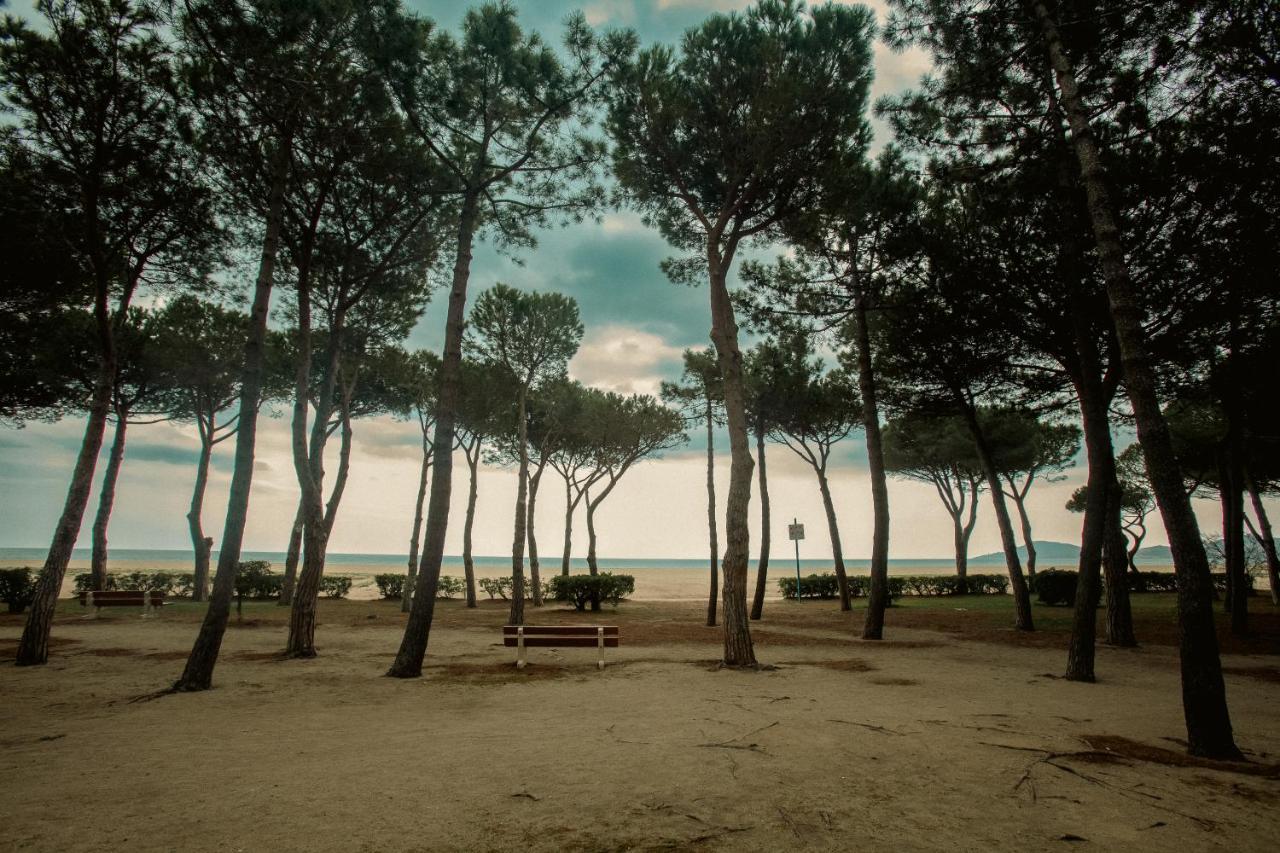 Studio Les Pieds Dans L'Eau Argeles Sur Mer Exterior photo